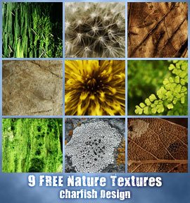 Free Nature Textures